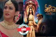 OMG! These actresses refused the role of Anmol Gujral in Naagin  6