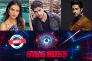 Bigg Boss 16: What! Priyanka Chahar Choudhary spoils Ankit Gupta’s birthday surprise planned by Shalin Bhanot