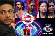BIGG BOSS 19