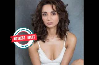 Hotness Alert! Here are the times when Aisha and Dear Zindagi fame actress Ira Dubey raised temperature with her hot looks 