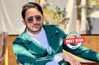Must Read! Shaheer Sheikh reveals how he deals with the failures of his projects, talks about the best part of showbiz 