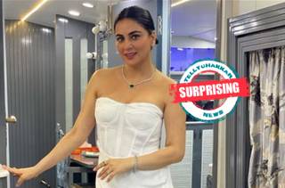 Surprising! Kundali Bhagya fame Shraddha Arya flaunts her baby bump in her recent post, See pics