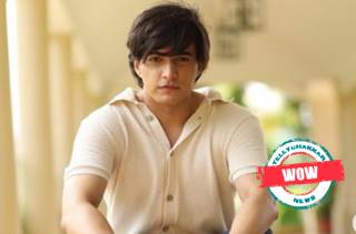 WOW! Mohsin Khan has created some profound magic with THESE actresses he romanced on-screen, Check it out