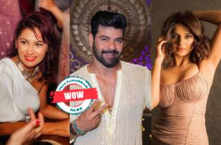  Shabir Ahluwalia romanced these television divas on-screen 