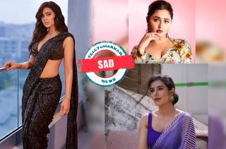 SAD! 10 Television celebrities whose marriage hit the rocks and ended up in divorce 