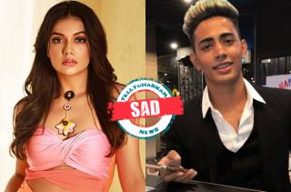 Divya Agarwal, Danish Zehen