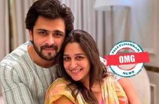 Dipika Kakkar, Shoaib Ibrahim