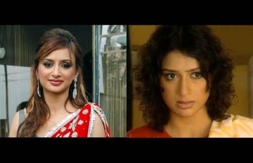 Gauri Pradhan Tejwani as Nandini