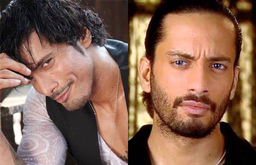 Akashdeep Saigal/Sky Walker as Ansh 