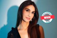 Whoa! From luxurious lifestyle to salary per film, all you need to know about Shamshera fame Vaani Kapoor