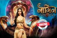 AMAZING! Naagin 6 cast gathers to celebrate this occasion on the sets, Check out