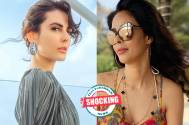 Shocking! From Lock Upp’s Mandana Karimi to actress Mallika Sherawat, THESE are the TV show celebs who made headlines for kissin