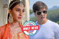 Must Read! What’s common between Erica Fernandes and Mohsin Khan?