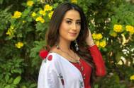 I want to tell my fans that there is a tiny tiny surprise in the season 3 of Blind Love : Aalisha Panwar