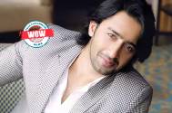 Wow! From being a law student to pursuing his career in acting Shaheer Sheikh's journey is inspirational 