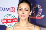 Bold and Sexy! These Malaika Arora sports bra looks are surely drool worthy