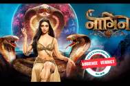 Audience Verdict! Netizens feel that Colors TV’s Naagin 6 has lost its original vibe, compare it with these Zee TV shows 