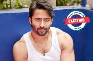 EXCITING! Shaheer Sheikh REUNITES with his popular show's co-star and we can't keep calm 