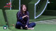 Shehnaaz Gill has a new friend in the Bigg Boss house but its mot any of the members