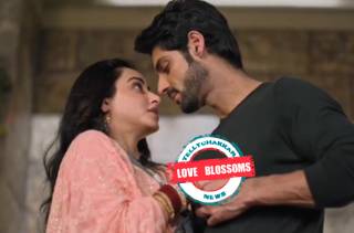Channa Mereya: Love Blossoms! Aditya comes close to Ginni, prepares her favorite noodles