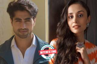 INTRIGUING! Here's what Harshad Chopda's Tere Liye co-star Anupriya Kapoor is up to THESE DAYS  